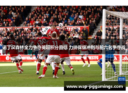 诺丁汉森林全力争夺英超积分目标 力拼保级冲刺与前六名争夺战 诺丁汉森林全力争夺英超积分目标 力拼保级冲刺与前六名争夺战