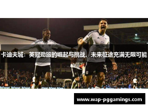 卡迪夫城:英冠劲旅的崛起与挑战,未来征途充满无限可能 卡迪夫城:英冠劲旅的崛起与挑战,未来征途充满无限可能