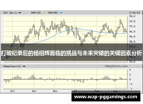 打破纪录后的杨绍辉面临的挑战与未来突破的关键因素分析