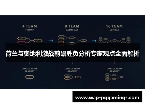 荷兰与奥地利激战前瞻胜负分析专家观点全面解析