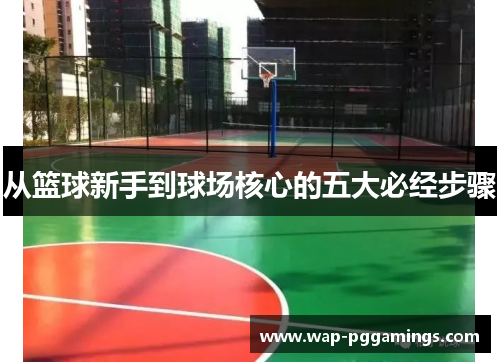 从篮球新手到球场核心的五大必经步骤