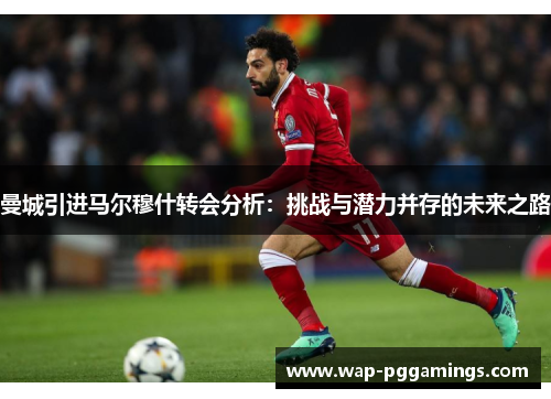 曼城引进马尔穆什转会分析：挑战与潜力并存的未来之路