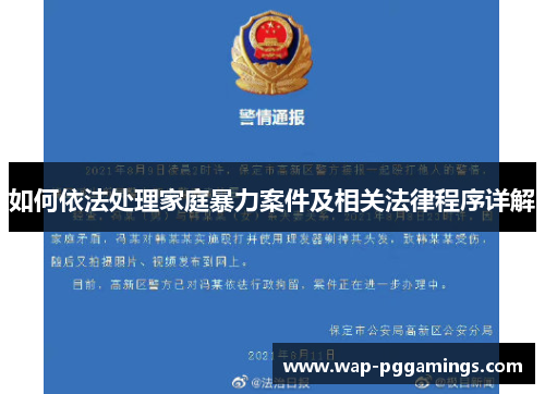 如何依法处理家庭暴力案件及相关法律程序详解