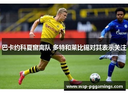 巴卡约科夏窗离队 多特和莱比锡对其表示关注