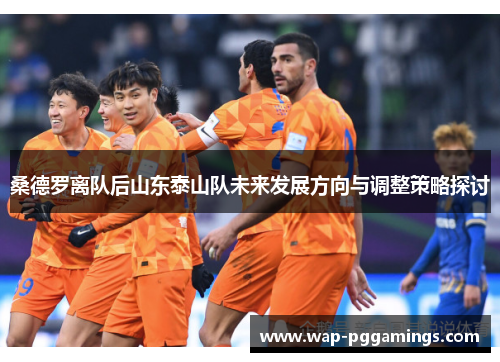 桑德罗离队后山东泰山队未来发展方向与调整策略探讨