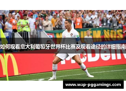 如何观看意大利葡萄牙世界杯比赛及观看途径的详细指南