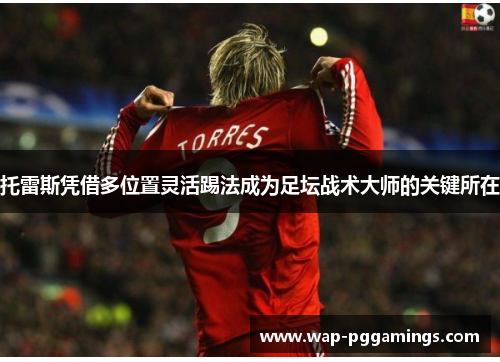 托雷斯凭借多位置灵活踢法成为足坛战术大师的关键所在