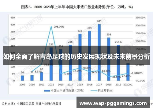 如何全面了解青岛足球的历史发展现状及未来前景分析