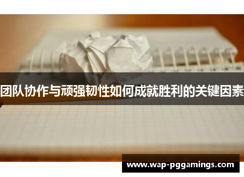 团队协作与顽强韧性如何成就胜利的关键因素