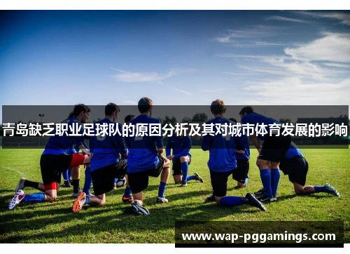 青岛缺乏职业足球队的原因分析及其对城市体育发展的影响 青岛缺乏职业足球队的原因分析及其对城市体育发展的影响