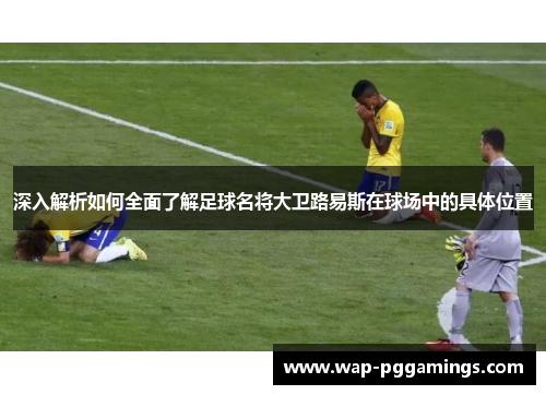 深入解析如何全面了解足球名将大卫路易斯在球场中的具体位置