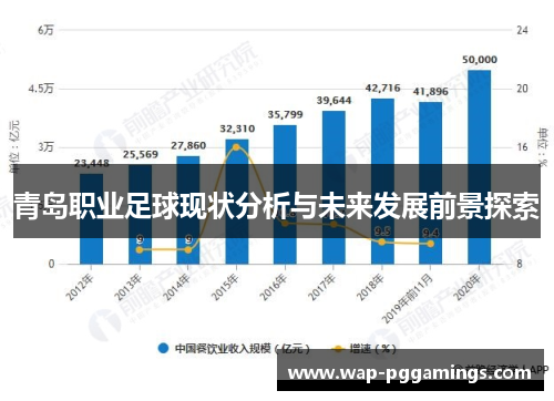 青岛职业足球现状分析与未来发展前景探索